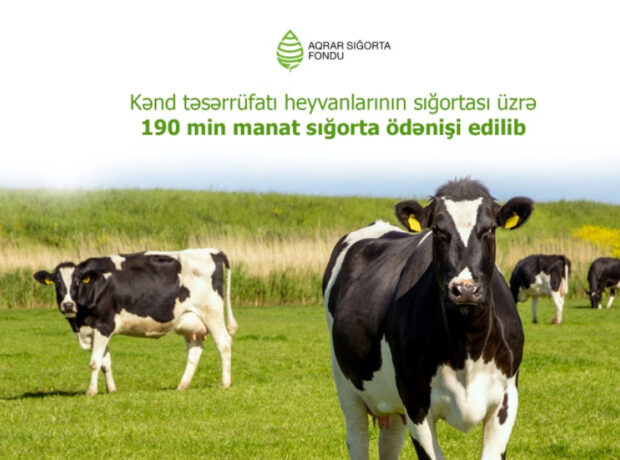 image-1751892640560010646_1200x630