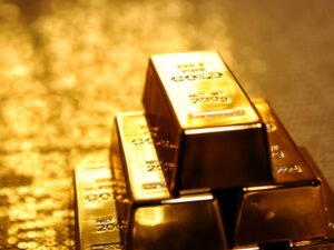 image-17527348154389665396_1200x630