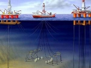 image-2020-03-19-11-54-29wrvv8ul1hmyukp7okdra_file