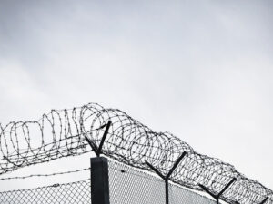 image-686a3bc0ae5ac9755139c557