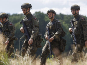 image-686b8a4502e8bd535d609f82