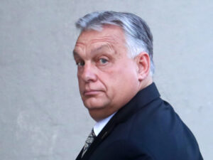 image-686eaa5802e8bd77fa2f6d12