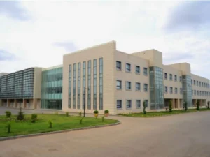 image-eap4ucg9dzylijovrbfibmkp4rjep7tdmts9fy9k_1200