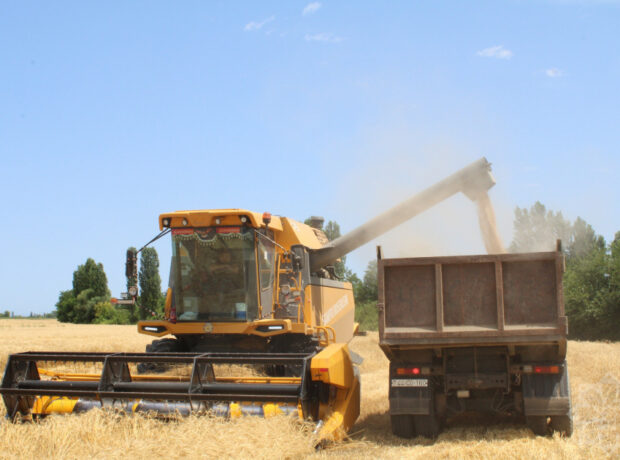 image-w_161752062700282040591_1200x630