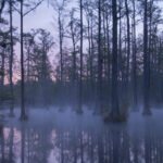 image-68ad6daf02e8bd441e493801