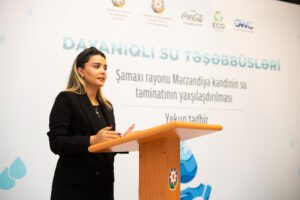 image-ecohub_-1-300x200