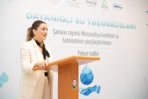 image-ecohub_-5-300x200