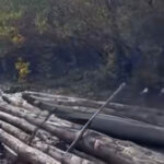 image-17615688686152564051_1200x630