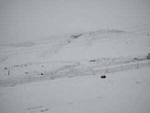 image-17618091332577142756_1200x630