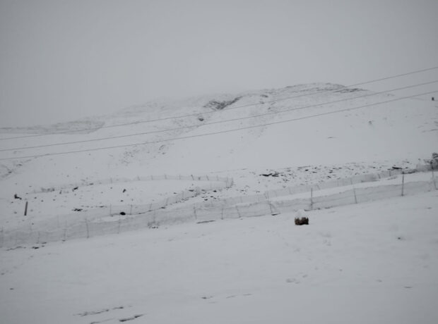 image-17618091332577142756_1200x630