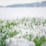 image-68ec91d402e8bd634e07199e