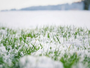image-68ec91d402e8bd634e07199e