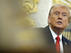 image-69032fccae5ac97b400ccfe8