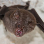 image-6903304a02e8bd5b0610b212