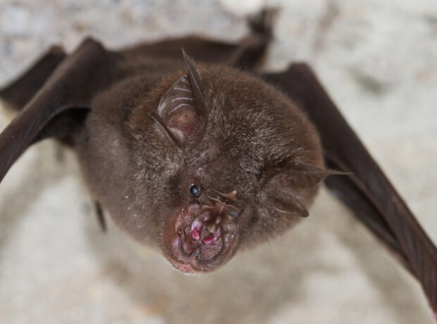 image-6903304a02e8bd5b0610b212