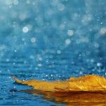 image-hava-yagis-noyabr