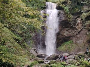 image-img-20251003-wa0152