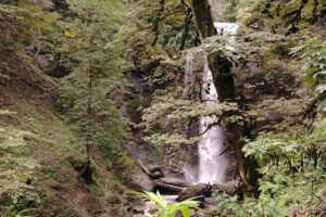 image-img-20251003-wa0154