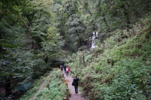 image-img-20251003-wa0181