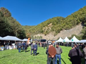 image-img-20251029-wa0098