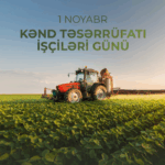 image-1636717225_894561