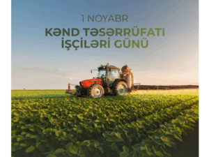 image-1636717225_894561