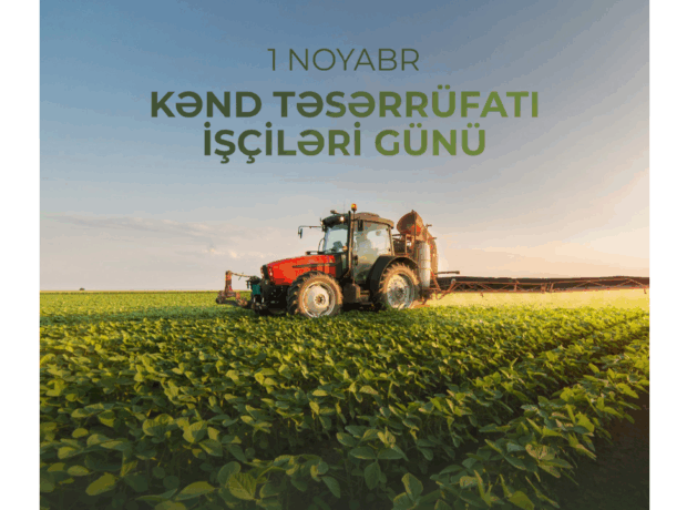 image-1636717225_894561