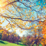 image-17012476772605126670_1200x630jpg-1701247938