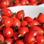 image-1731336280_1698355412_itburnu