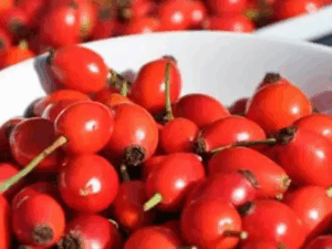 image-1731336280_1698355412_itburnu