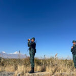 image-17619799441295835366_1200x630