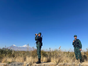 image-17619799441295835366_1200x630