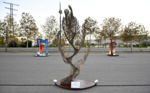 image-1762026043359441769_1200x630