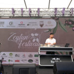 image-17620299234150630759_1200x630