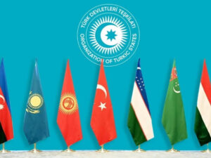 image-17622453133057326196_1200x630