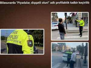 image-17625043283877556434_1200x630