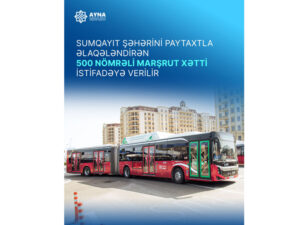 image-1762769674294149813_1200x630