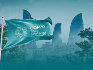 image-1762841603840045942_1200x630