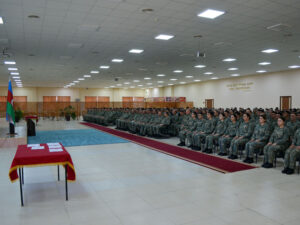 image-17628504093475046283_1200x630