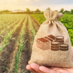 image-17630209322718311624_1200x630