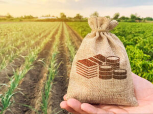 image-17630209322718311624_1200x630