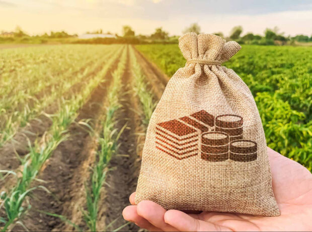 image-17630209322718311624_1200x630