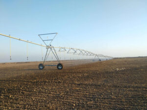 image-1763708137487924617_1200x630