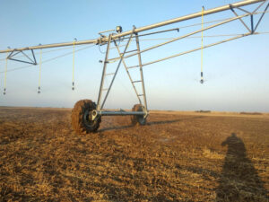 image-17637081376103412703_1200x630