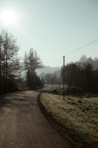 image-17637107421022459493_1200x630