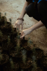 image-17637107421489243264_1200x630