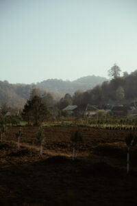 image-17637107422549310870_1200x630