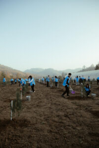 image-1763710742254940306_1200x630