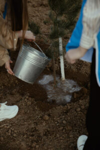 image-17637107423305634563_1200x630