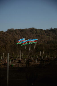 image-17637107423547735503_1200x630